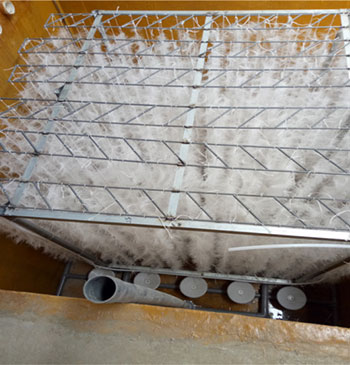 �������ϰ���