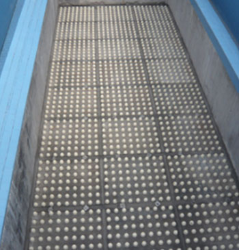 �������V��ɹ�����